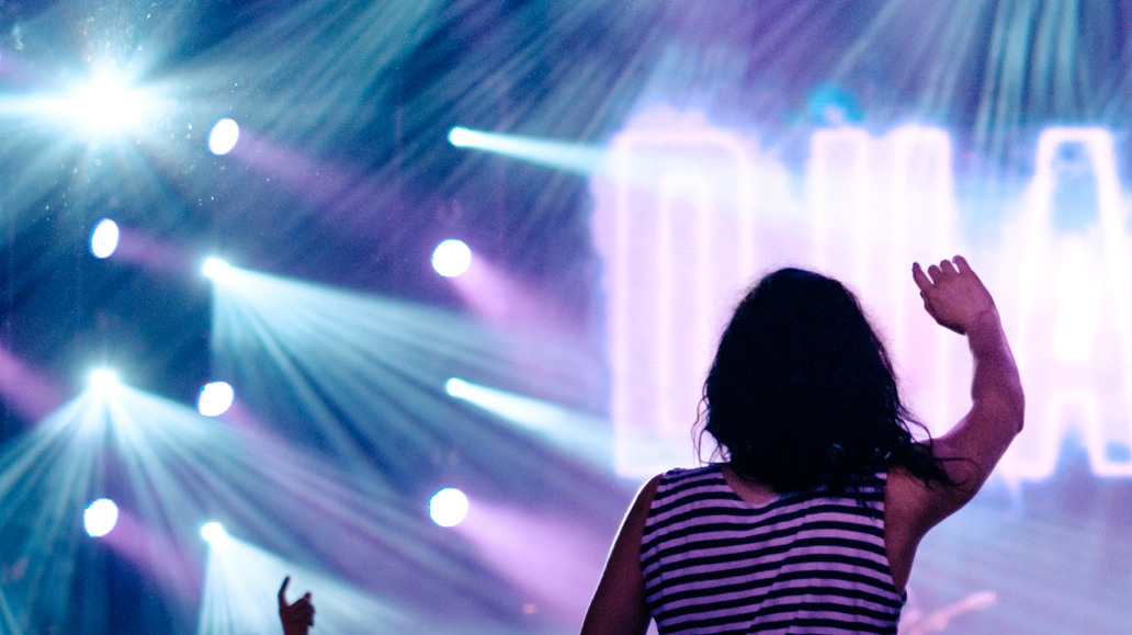 concert photo 4